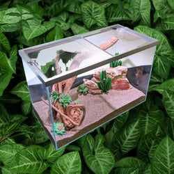 Lifegard Low Iron Glass 20 Gallon Rimless Long Terrarium
